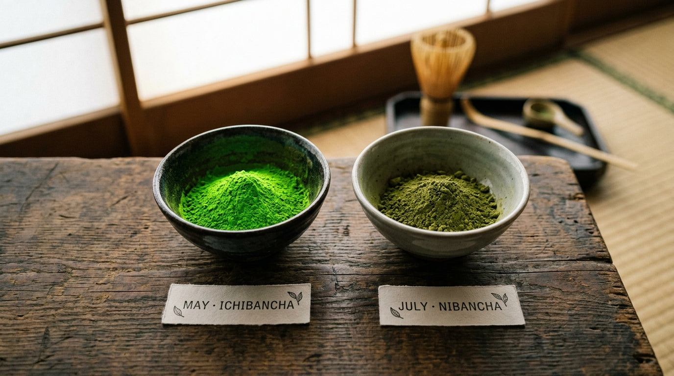 Two ceramic bowls of matcha side by side, the left vivid jade May Ichibancha first-flush, the right duller olive July Nibancha second-flush, with date labels and traditional tea ceremony tools