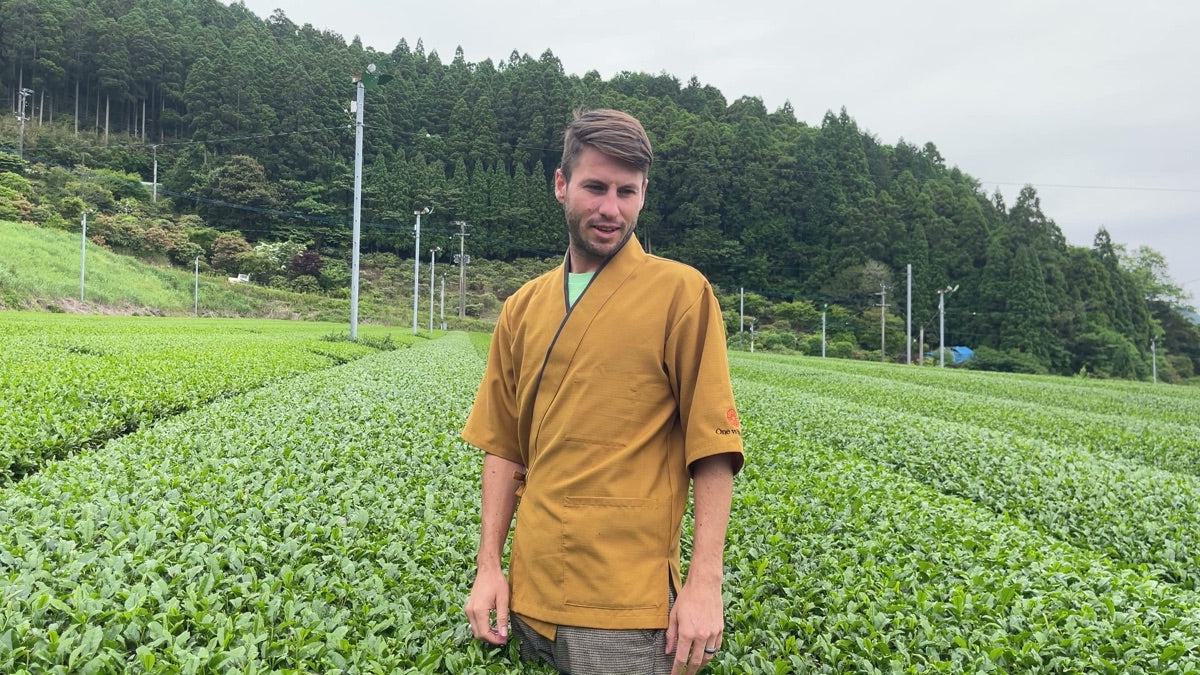 Izumi Tea Cultivar: Japan's Export Green Tea Reborn as Black Tea