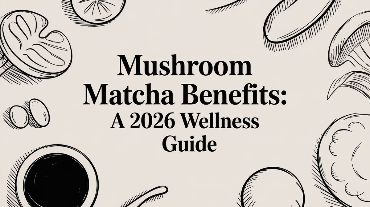 Mushroom Matcha Benefits