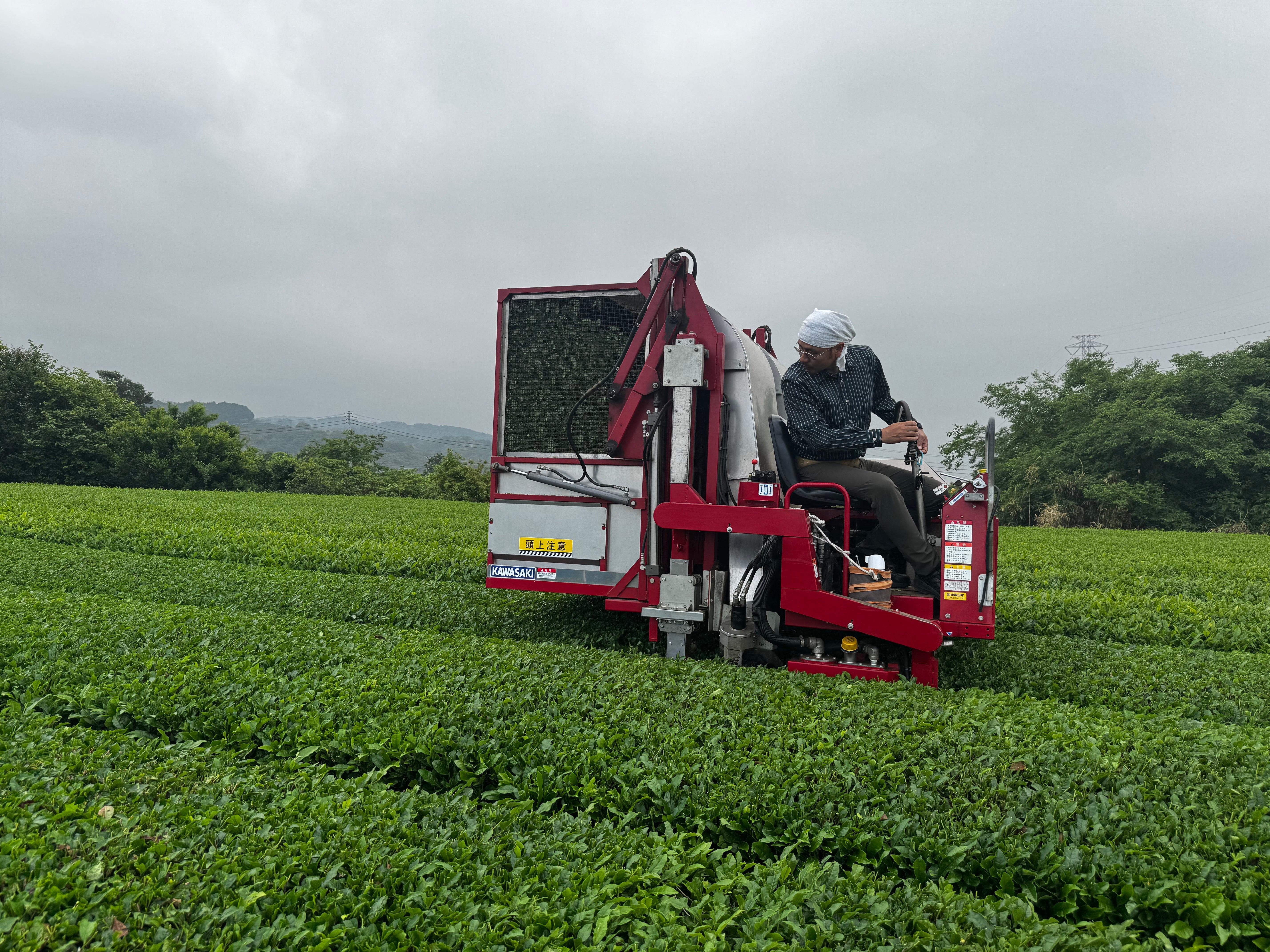Mohei Honda operating his tea harvester through the rows in Shizuoka