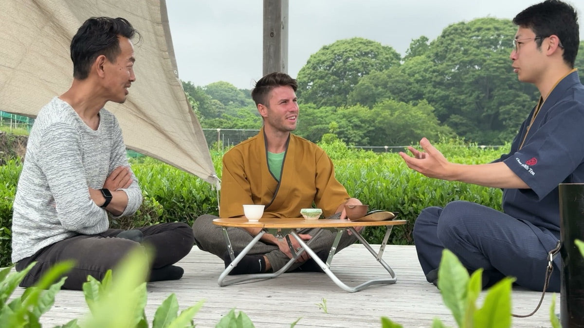 How to Evaluate a Matcha Sample Before You Commit to a Lot