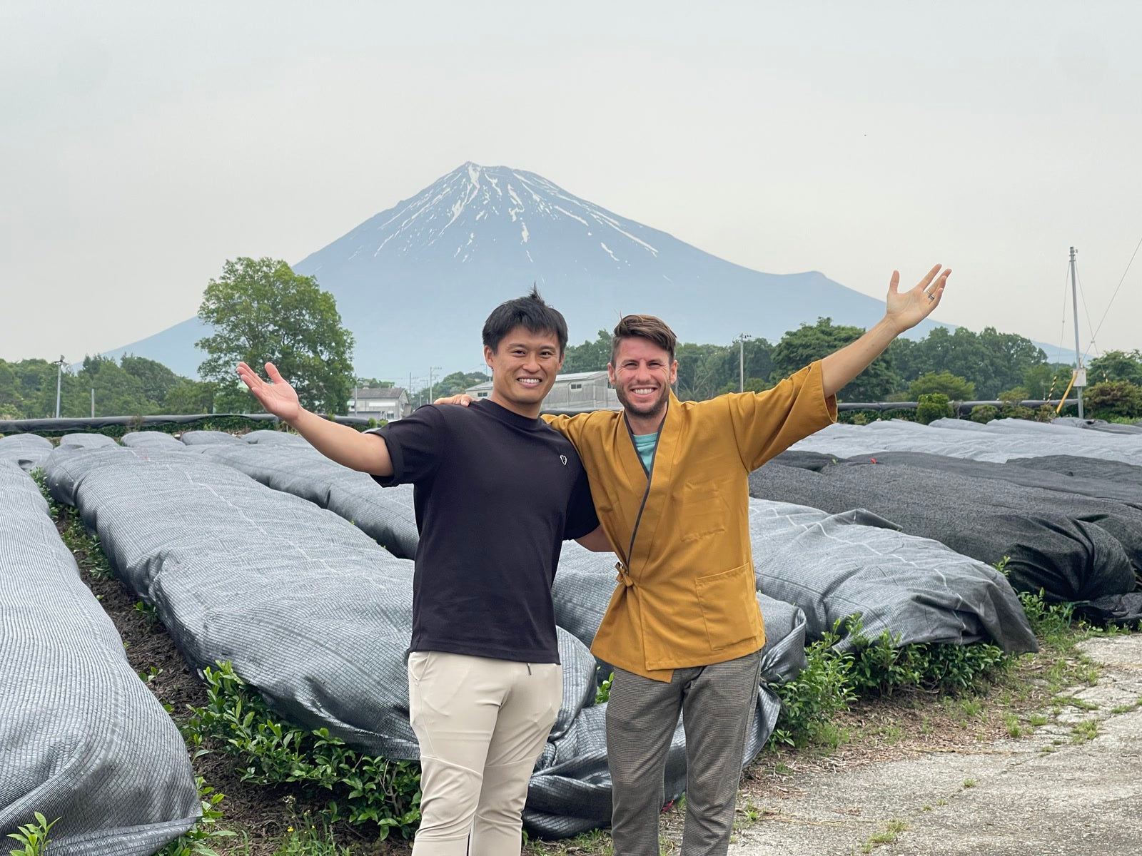 Matcha Growing Regions in Japan: A Complete Guide to Uji, Nishio, Kagoshima, Shizuoka, and Miyazaki