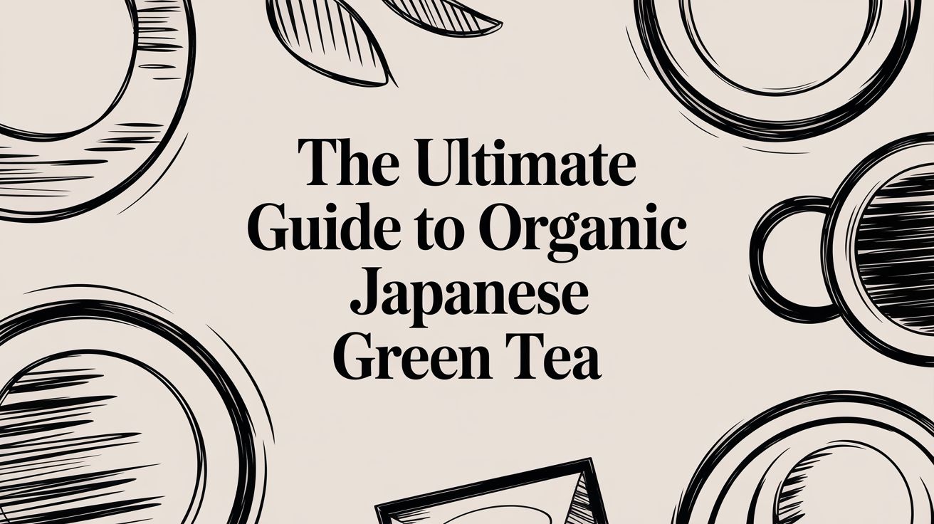 The Ultimate Guide to Organic Japanese Green Tea