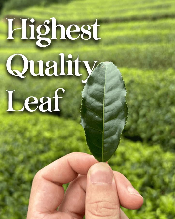 Genmaicha with Matcha - USDA ORGANIC