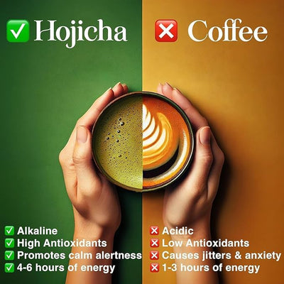 Organic Hojicha powder in a hand, with a contrasting cup illustrating energy benefits over coffee.