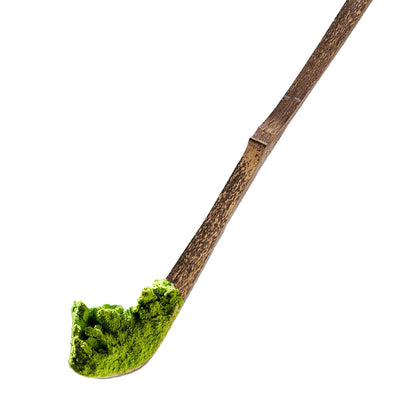 Handcrafted bamboo chashaku scoop in Nakabushi style, 18cm, designed for serving matcha tea.
